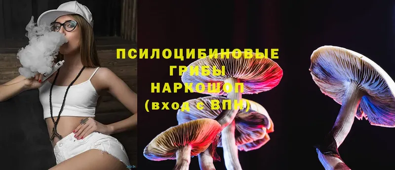 Псилоцибиновые грибы Magic Shrooms  купить наркоту  Красный Сулин 